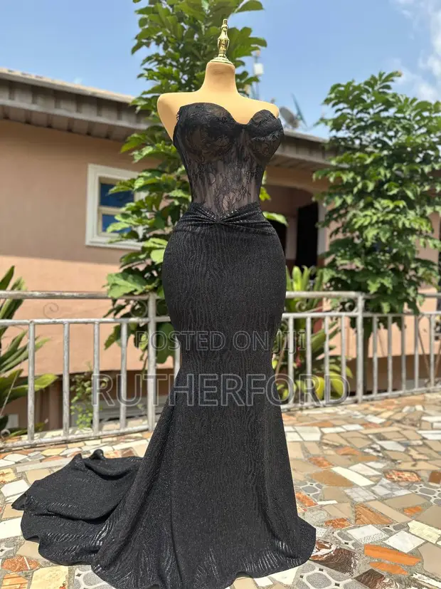 fleur asymmetric dress Lace Queen Bee Corset Dress - Birthday Photoshoot Dress main image 0