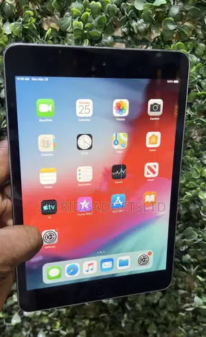 Apple iPad mini 2 16 GB Gray