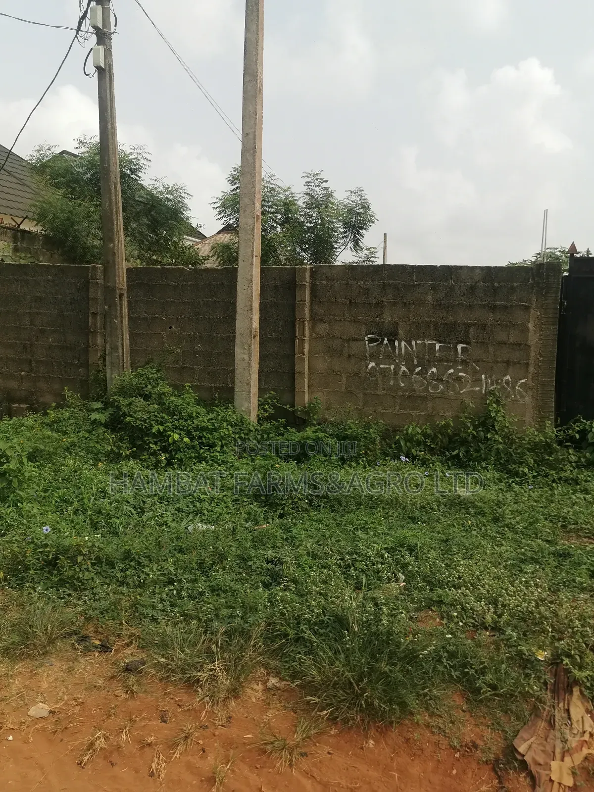 Landed Property