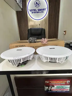 2in1 20w Bluetooth Ceiling Speaker With Built-in Amplifier