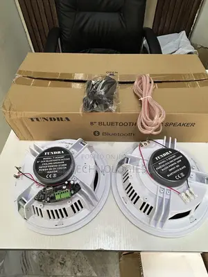 2in1 20w Bluetooth Ceiling Speaker With Built-in Amplifier