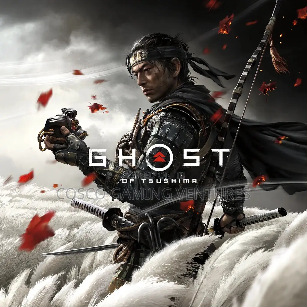 Ps4 Ps3 Ps5 Game Installation