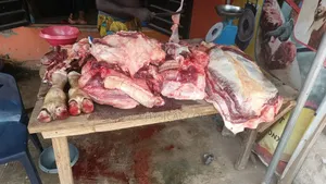 Cow Slaughter Kg/Slot