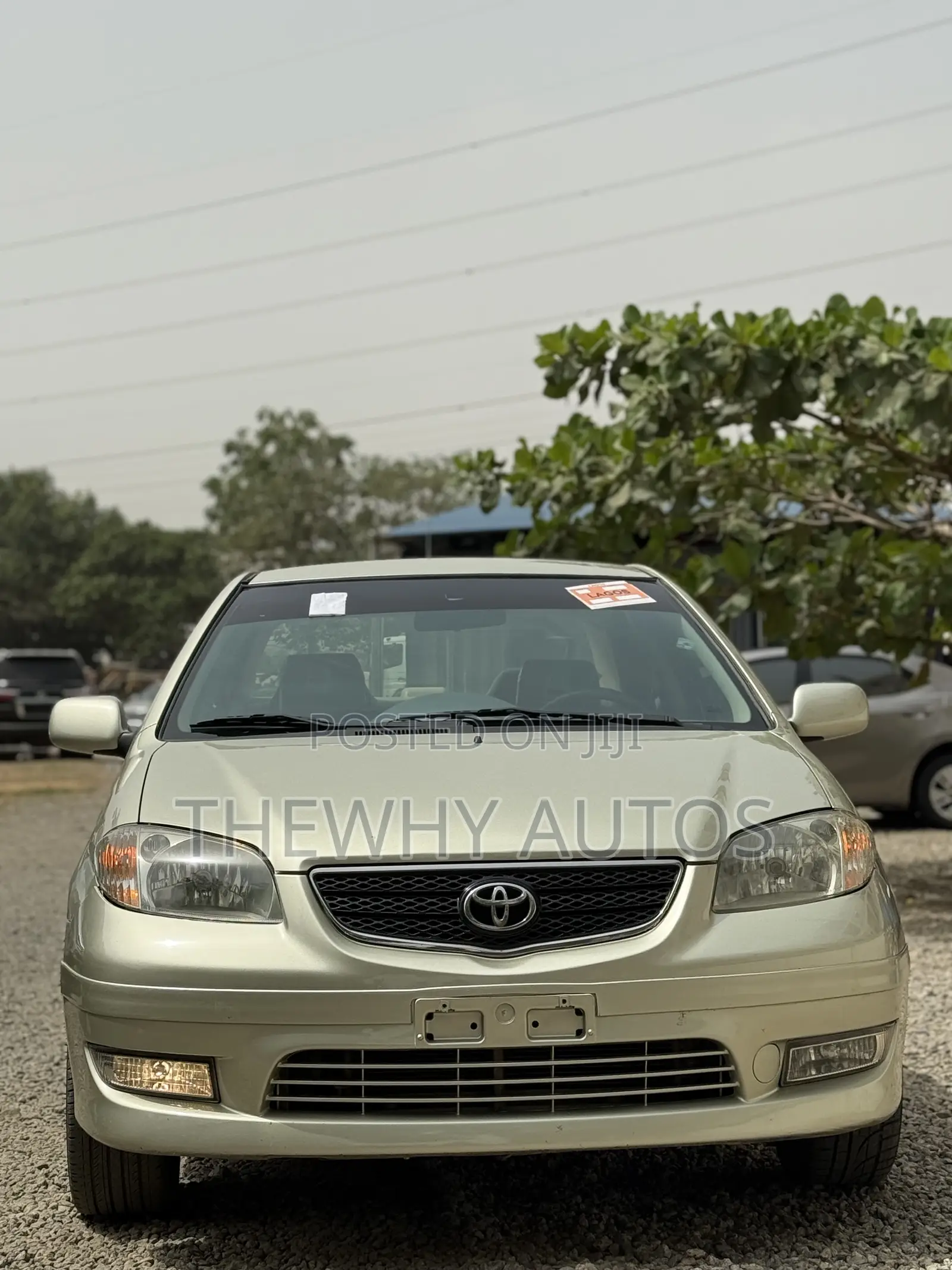 Toyota Vios 2004 Ivory