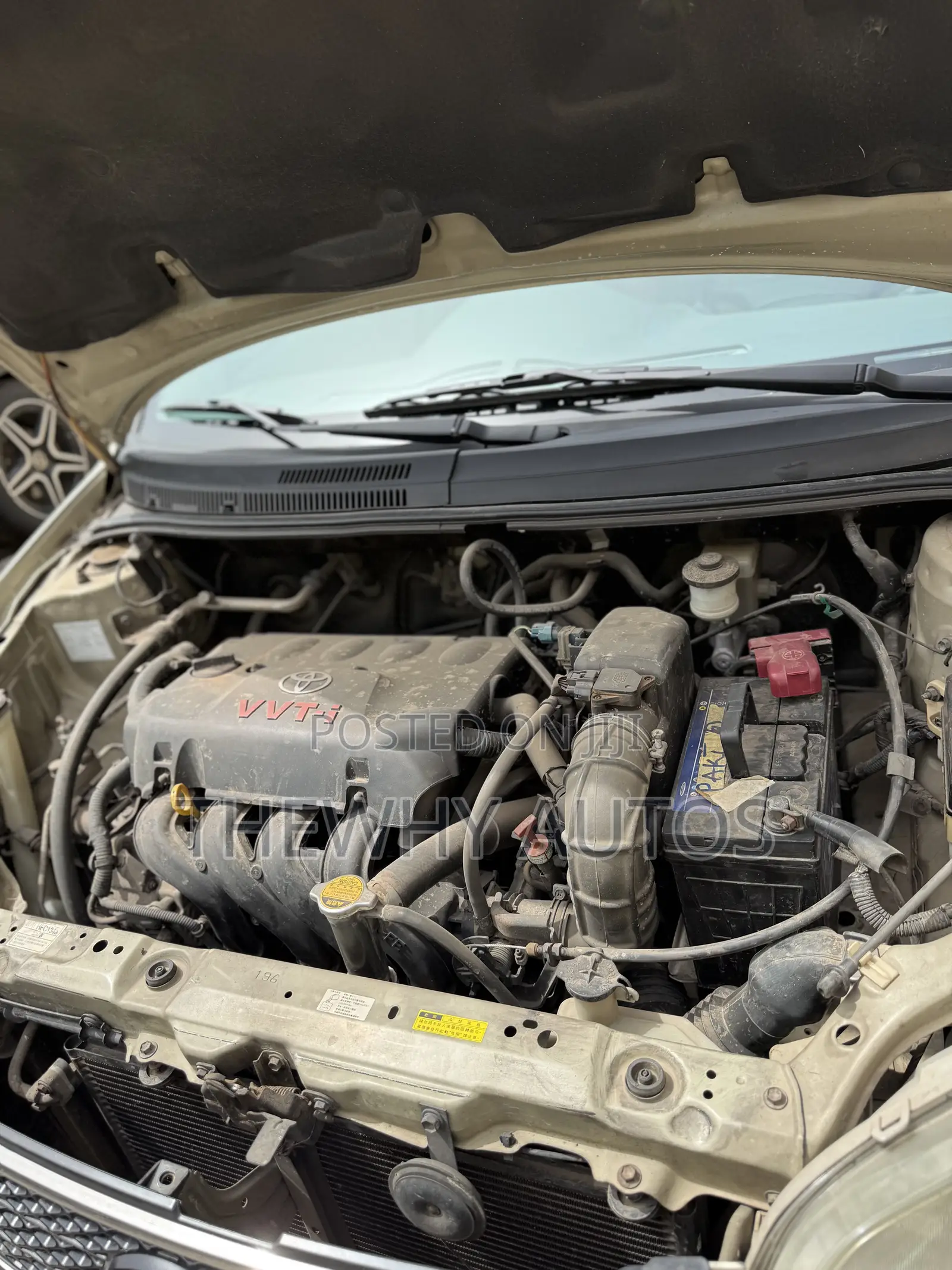 Toyota Vios 2004 Ivory