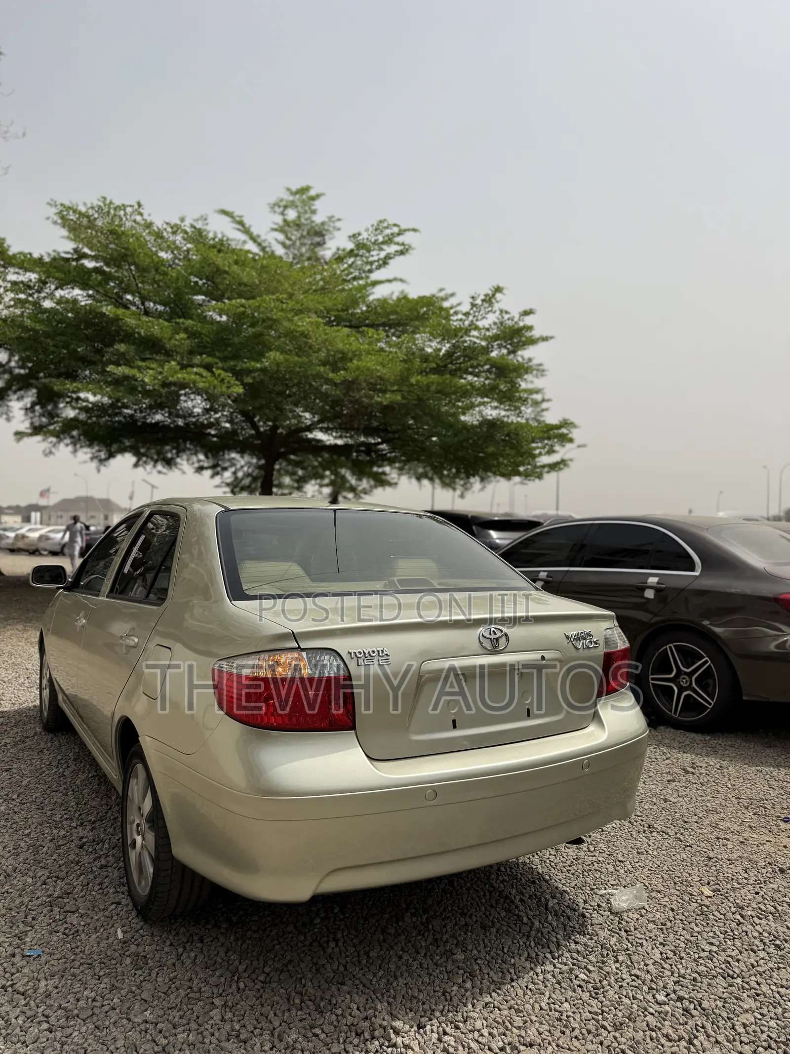 Toyota Vios 2004 Ivory