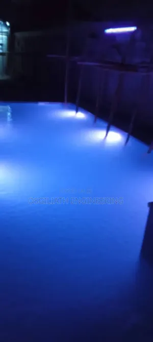 Home Swimming Pool Exquisite Contractor/ Engineer