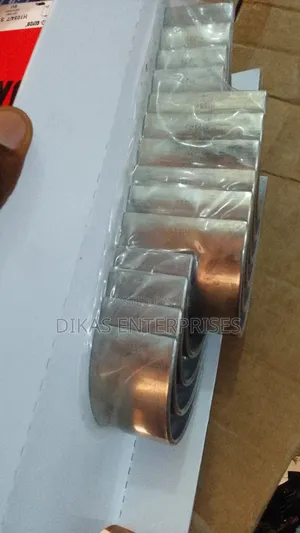 Engine Bearing for Daf