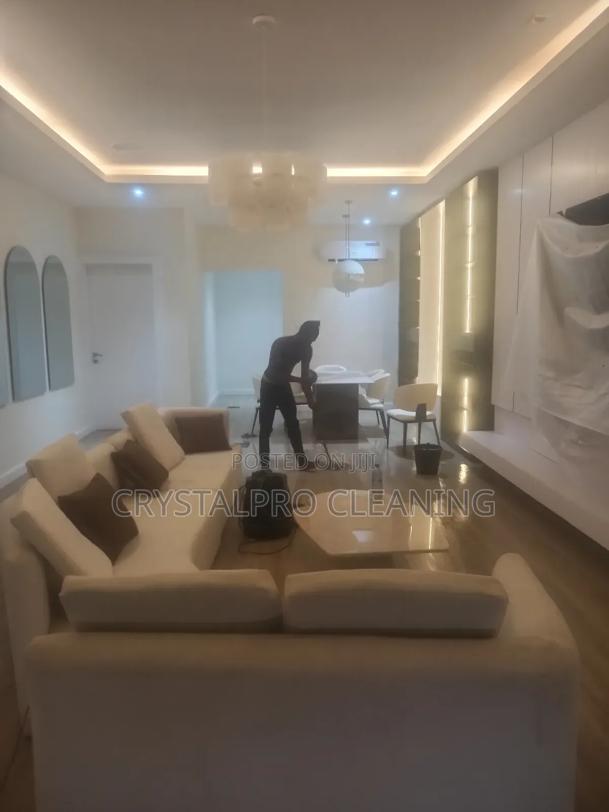Professional Cleaning Services