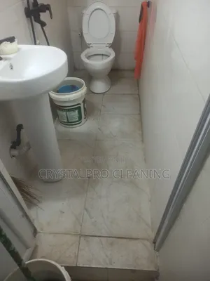 Move-in Deep Cleaning Service