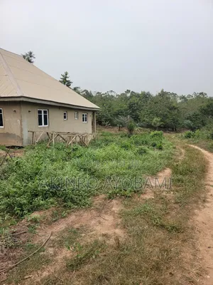 Genuine and Cheap Plot Land at Obey Area Olohunda Akobo Ibadan