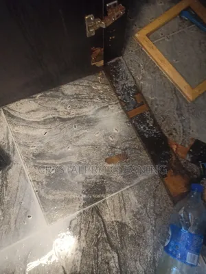 Top Best Fumigation Service