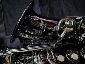 Slade Professional Alto Sax With Complete Accessories