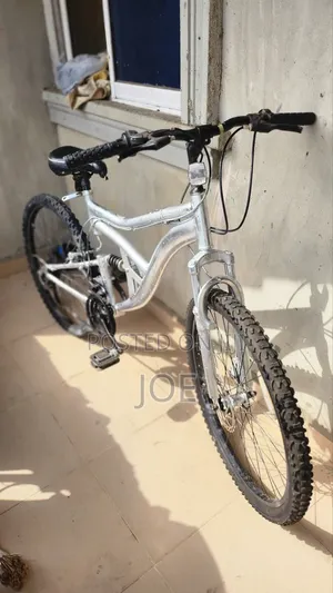 Used Sports Bicycle
