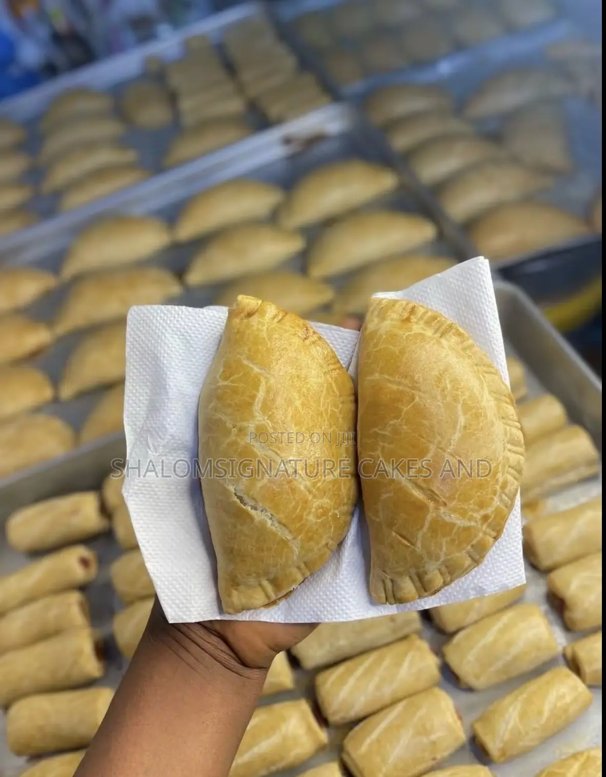 Golden Flaky Meat Pie