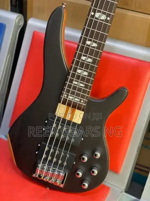 Pro- Bullfighter Signature (Fend) Active 5 Strings Bass Guitar