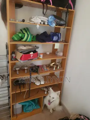 Shoe and Bag Rack
