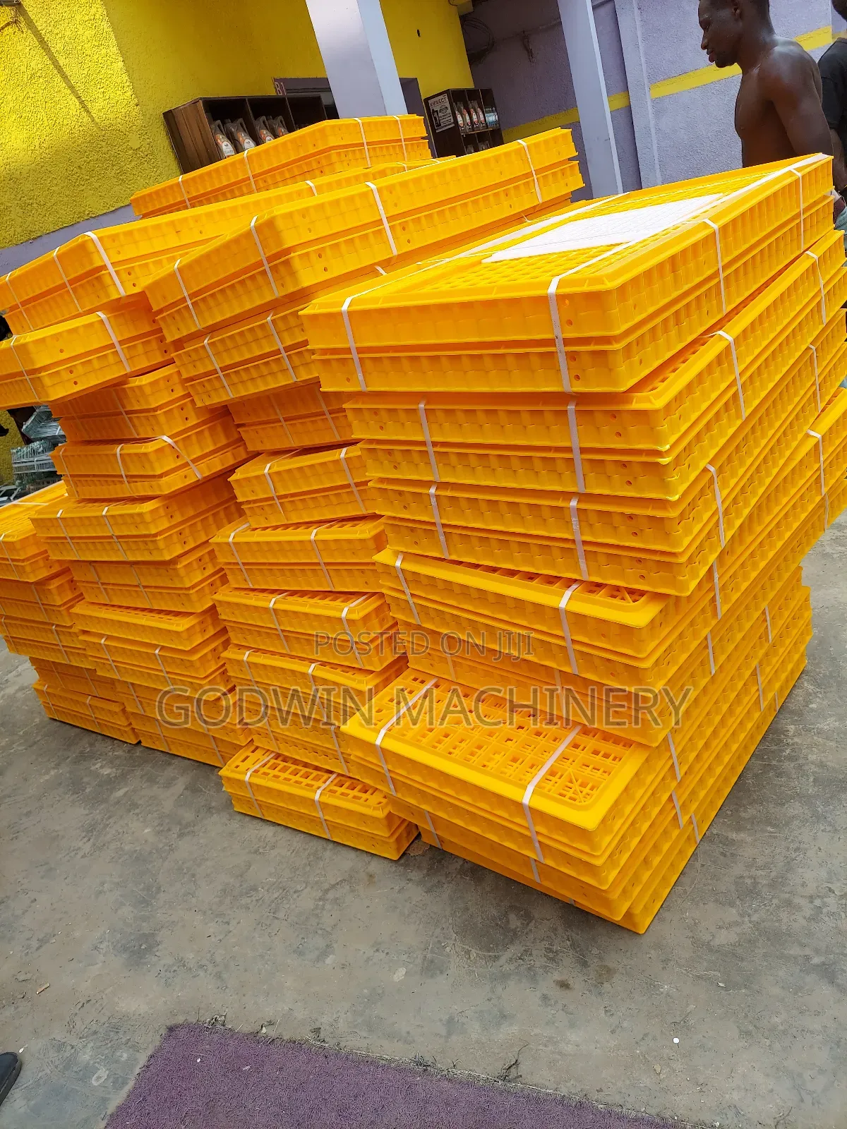 Basket Carrier for Birds