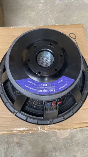 18inches Single Magnet 125coil Sub Speaker