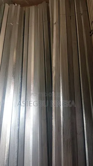Wall Angel 2.8mm