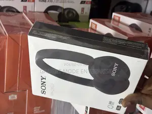 Sony Wh-Ch520 Headphone