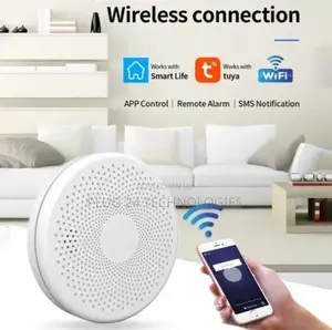 Smoke and Carbon Monoxide Detector Alarm