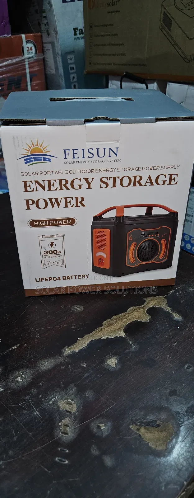 Feisun 300w Energy Storage System