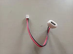 Usb Type-C Female Power Connector Cable (2-Pin JST Plug)
