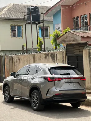 Lexus NX 250 Luxury 2023 Brown