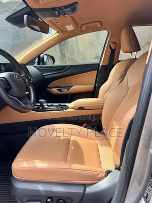 Lexus NX 250 Luxury 2023 Brown