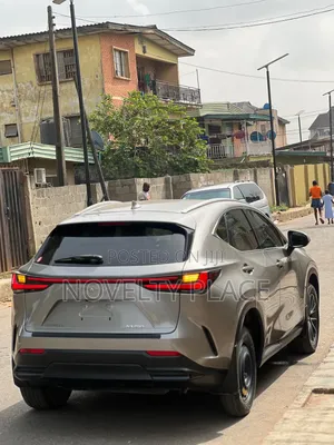 Lexus NX 250 Luxury 2023 Brown