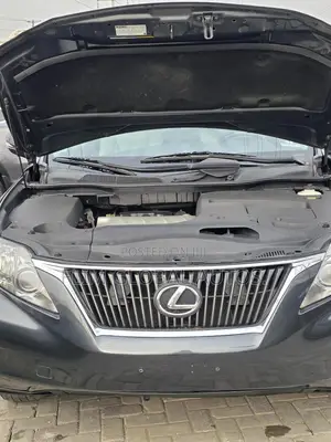 Lexus RX 350 2010 Gray