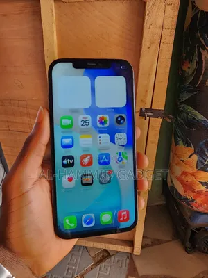 Apple iPhone 12 Pro Max 256 GB Blue