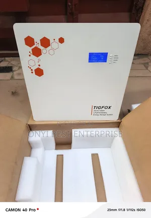 Tiger Fox Lithium Ion Battery 5kwh 24v
