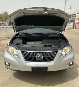 Lexus RX 2011 Gray