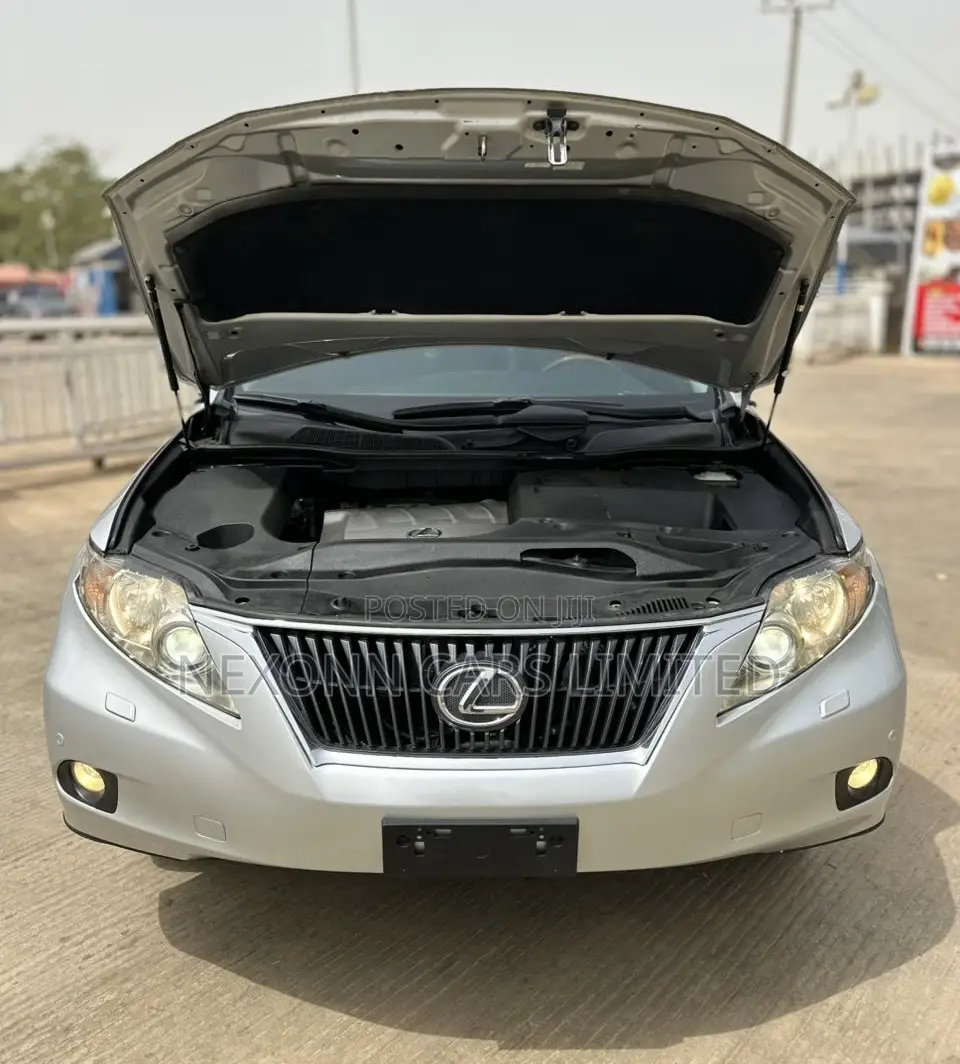 Lexus RX 2011 Gray