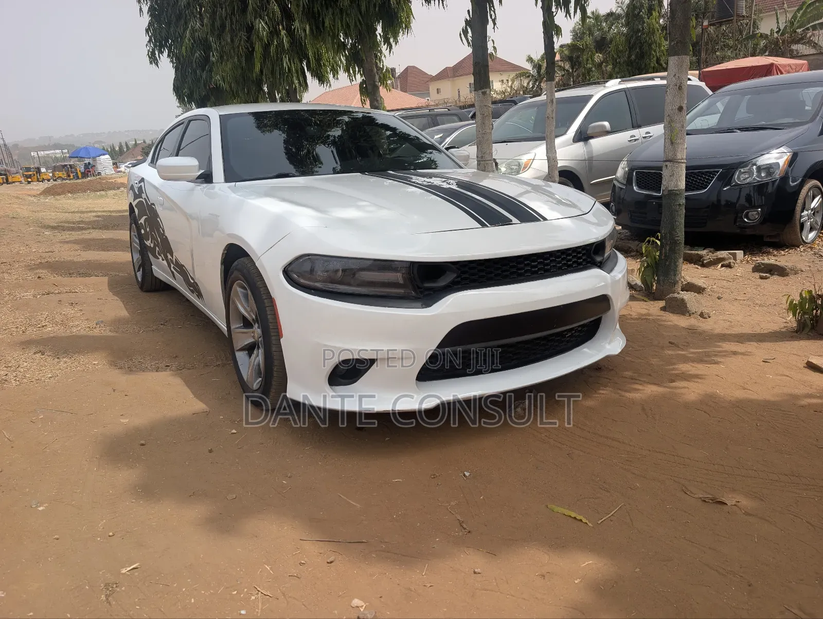 Dodge Charger 2016 White