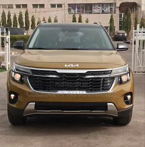 Kia Seltos 2024 Gold