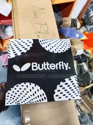 Butterfly Tennis Post and Net