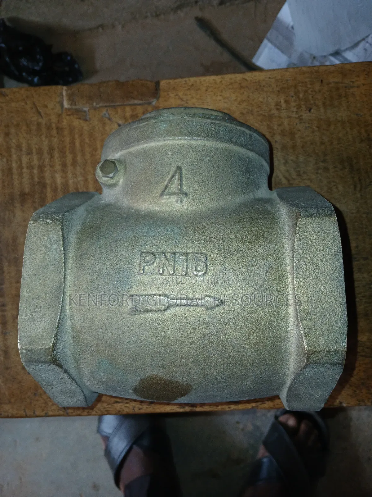 Iron Non Return Valve