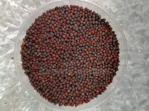 Mustard Seed (100g)