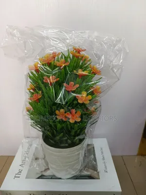 Cozy Flower