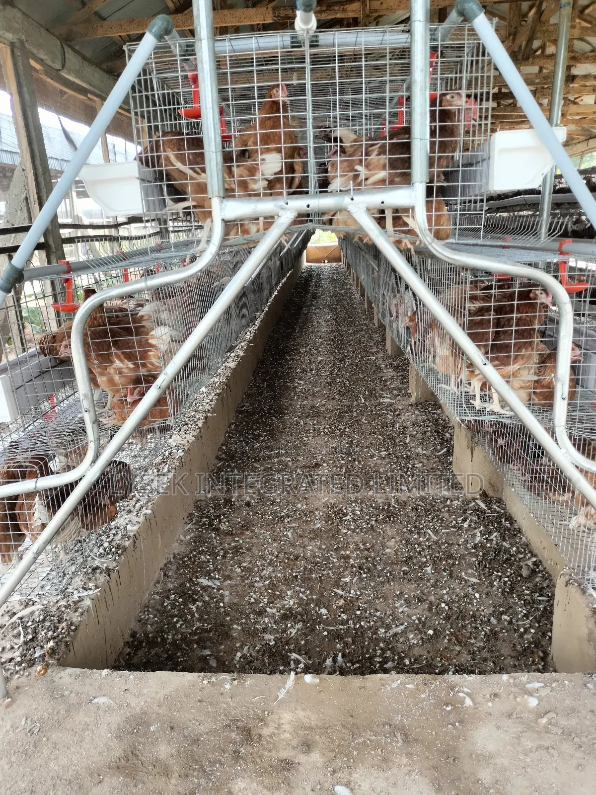 Battery Cage With Accessories