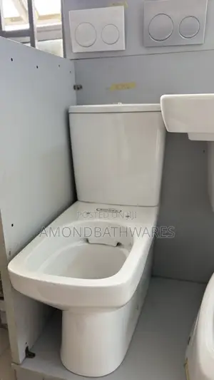 Geberit Seat and Tank Wc (Square)