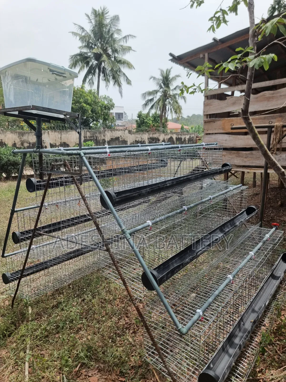 Deliver Nation Wide Cages