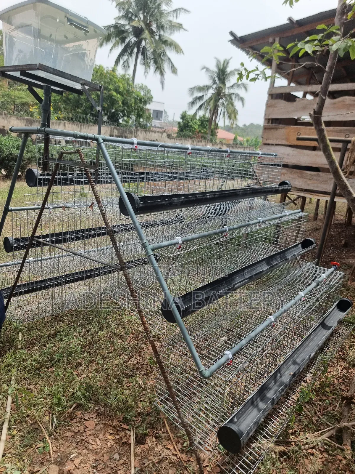 Deliver Nation Wide Cages