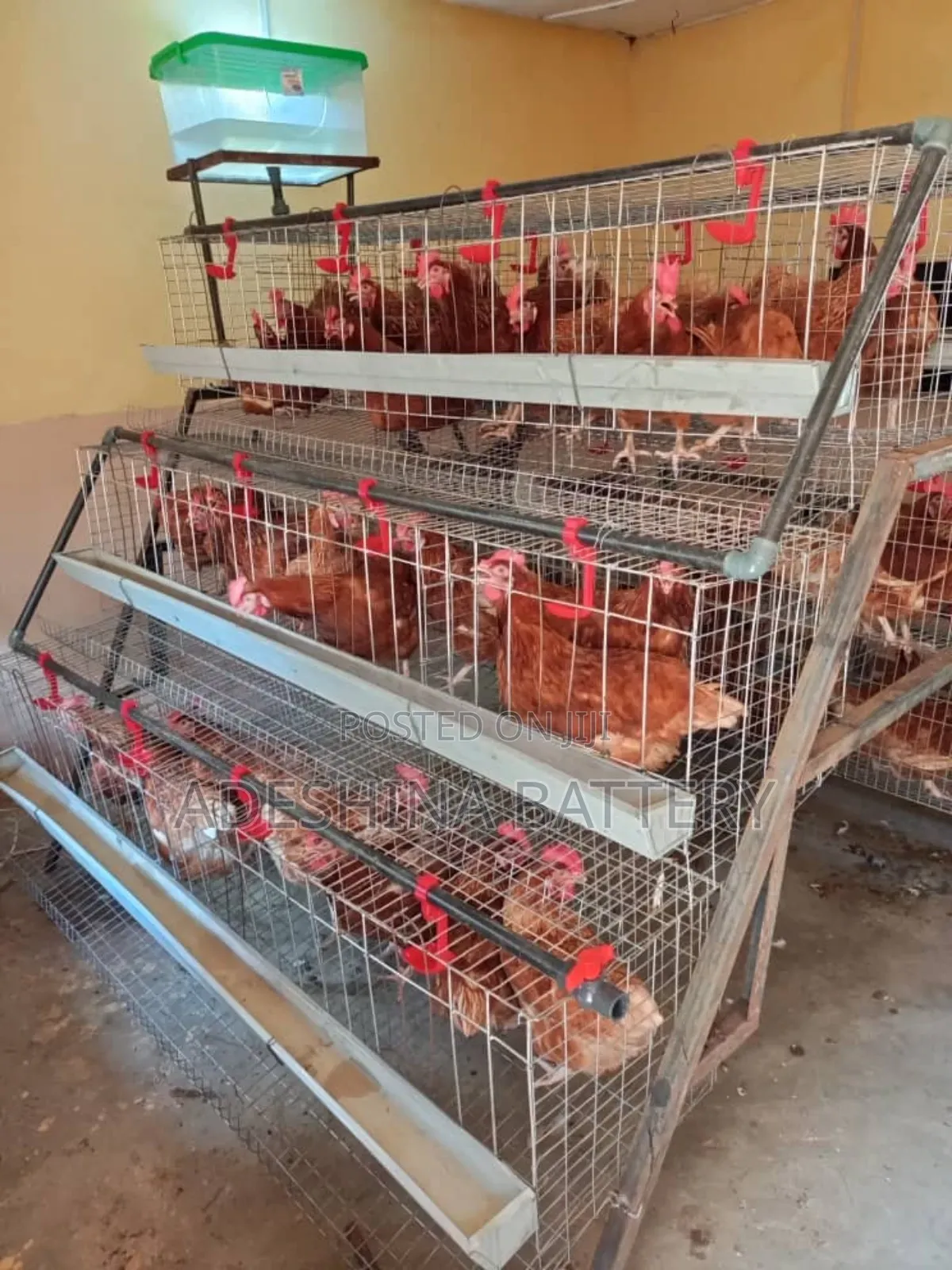 Deliver Nation Wide Cages