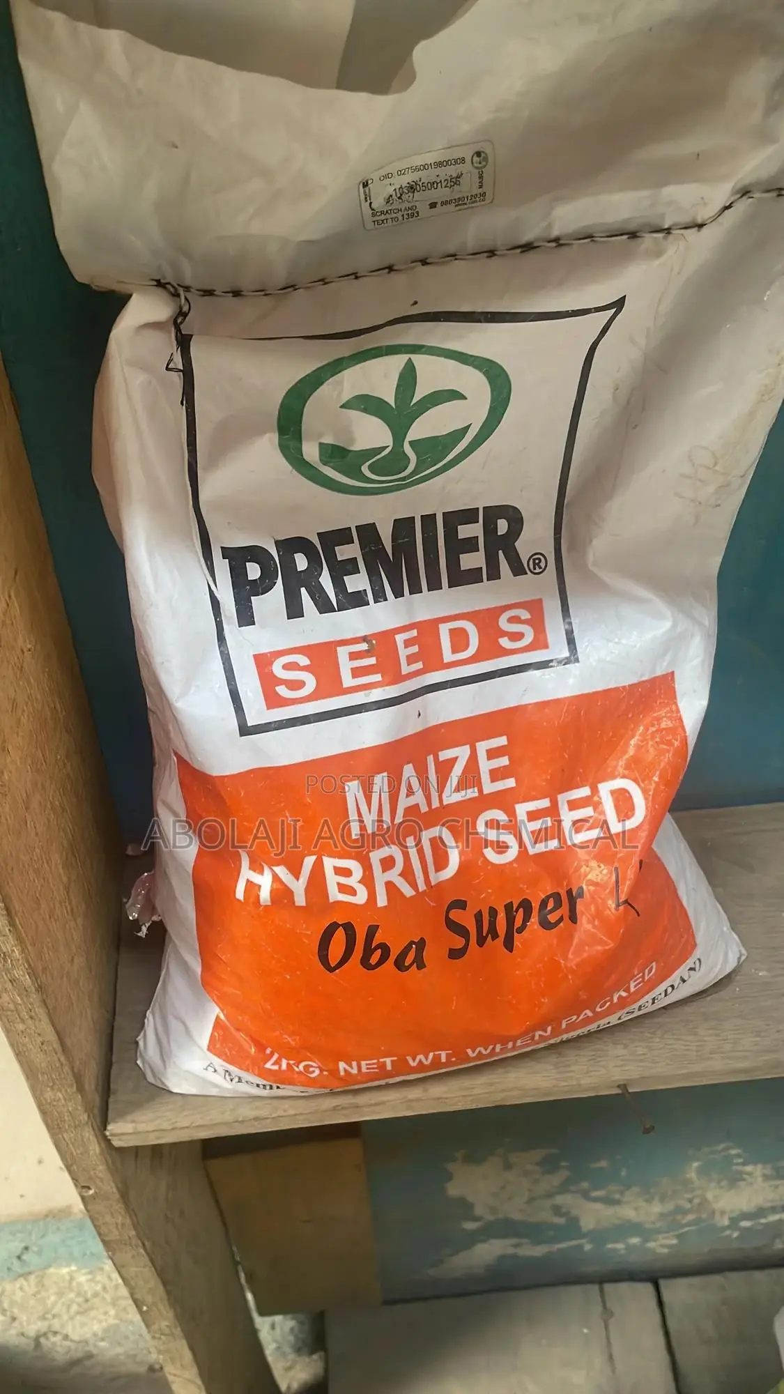 Maize Seed