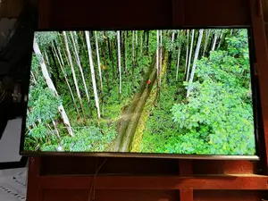Samsung Non Smart TV 32 Inches