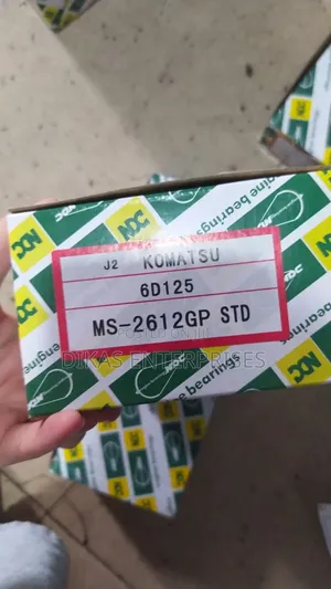 Engine Bearing Komatsu